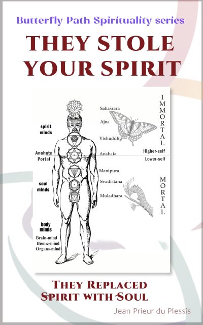 They Stole Your Spirit