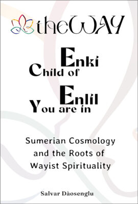Child of Enki you are in Enlil - book cover